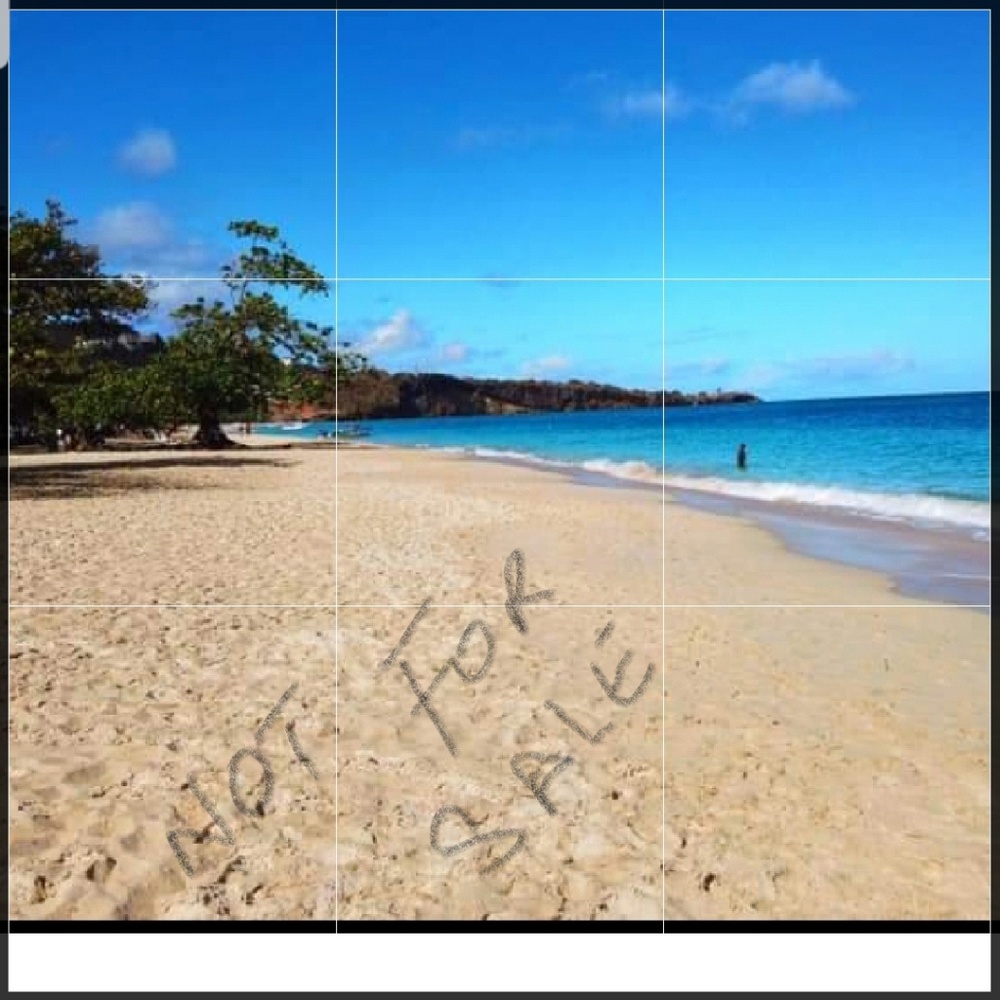 Homb - Picture 2 of 3